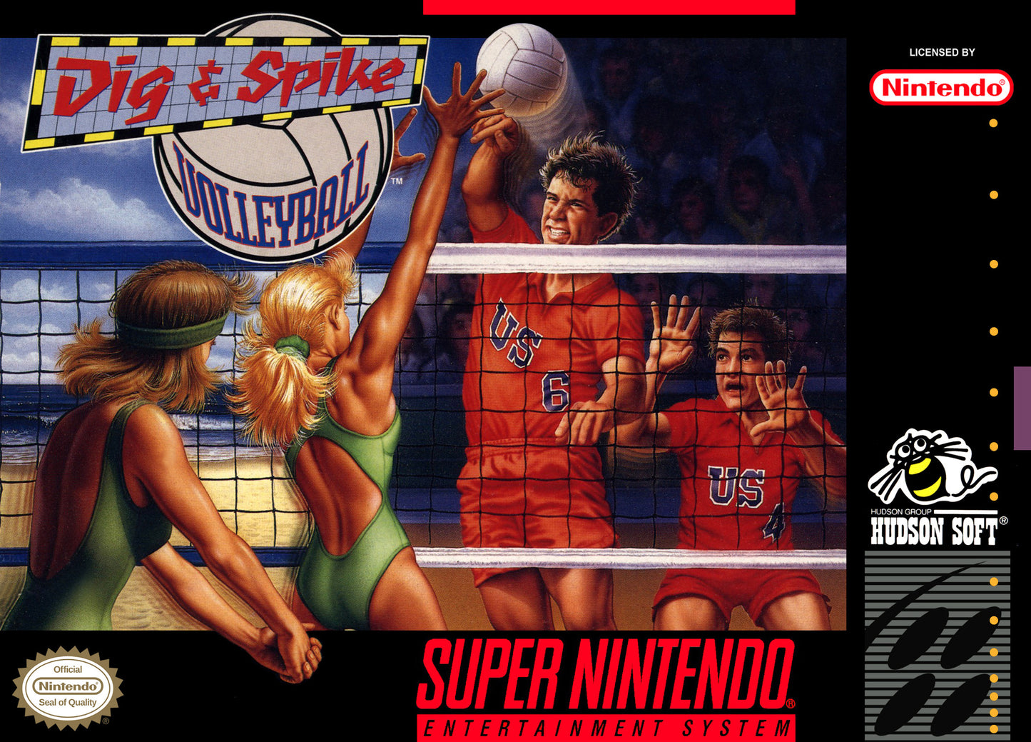 Dig and Spike Volleyball (Loose Cartridge)
