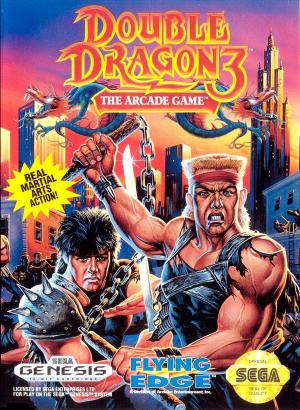 Double Dragon III The Arcade Game (Missing Manual Cosmetically Flawed)