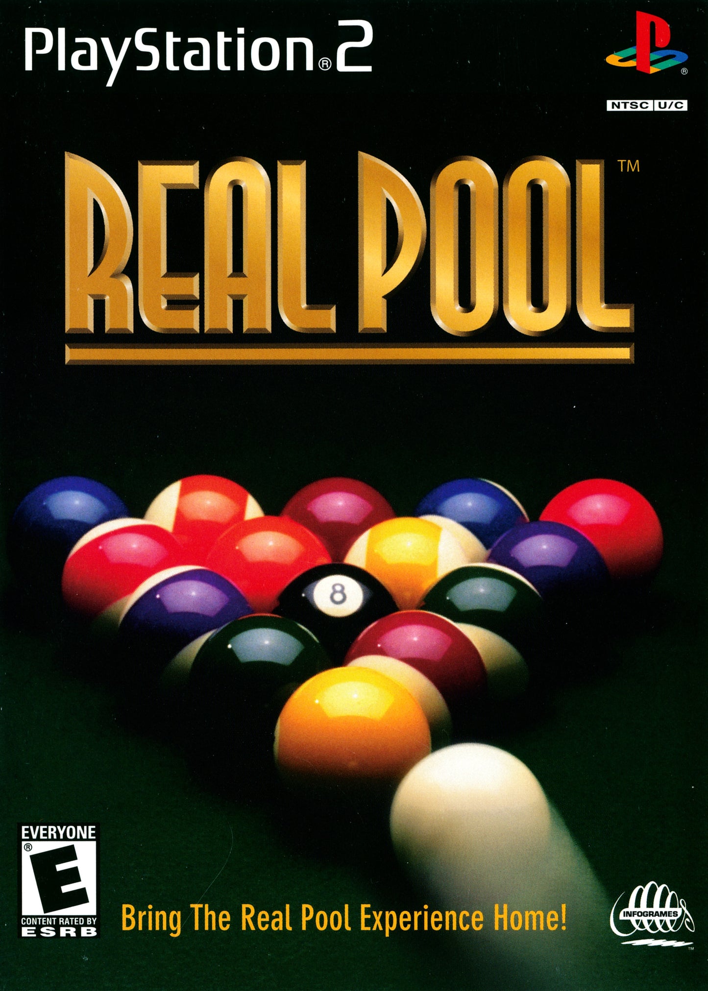 Real Pool (Missing Manual)