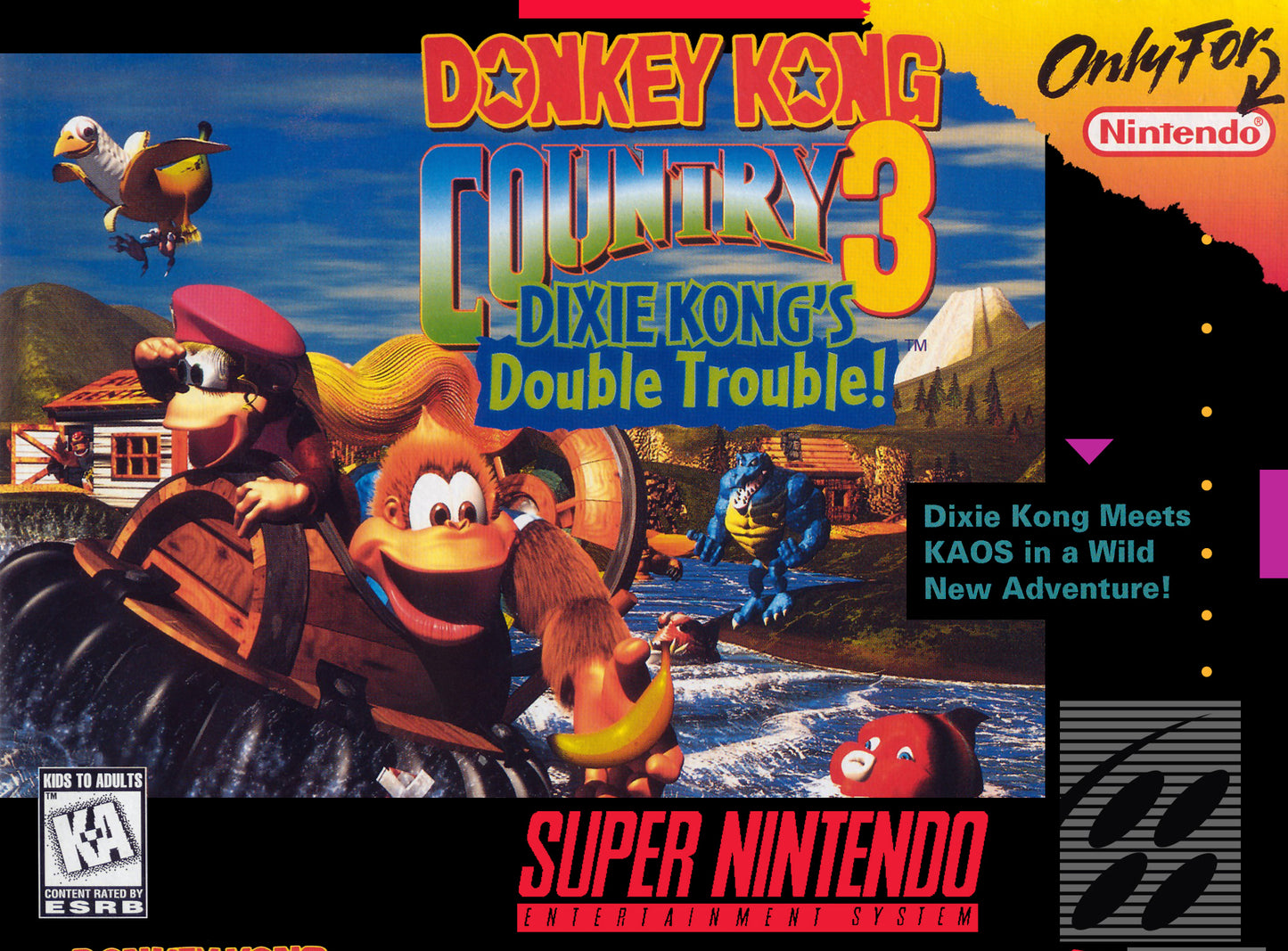 Donkey Kong Country 3 (Loose Cartridge)