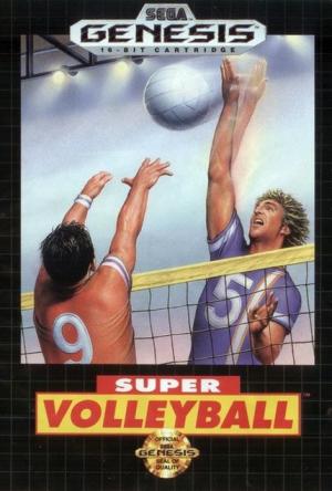 Super Volleyball (Cosmetically Flawed Cartridge)