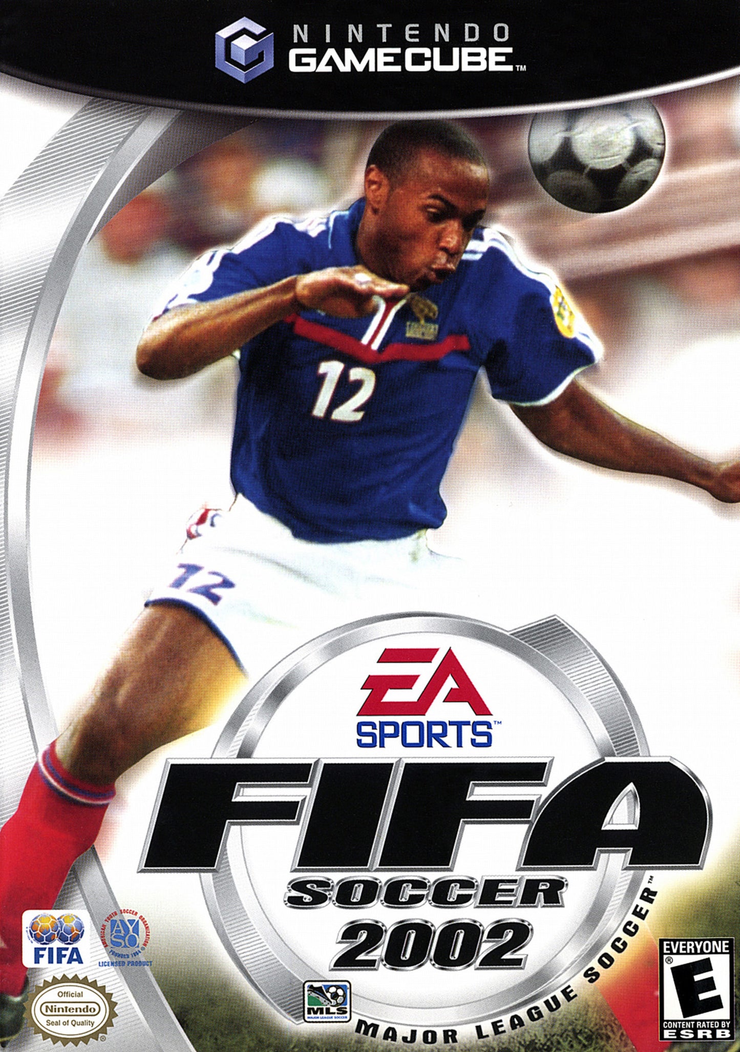FIFA 2002 (Missing Manual)